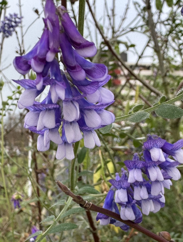 Een heldere vooruitblik