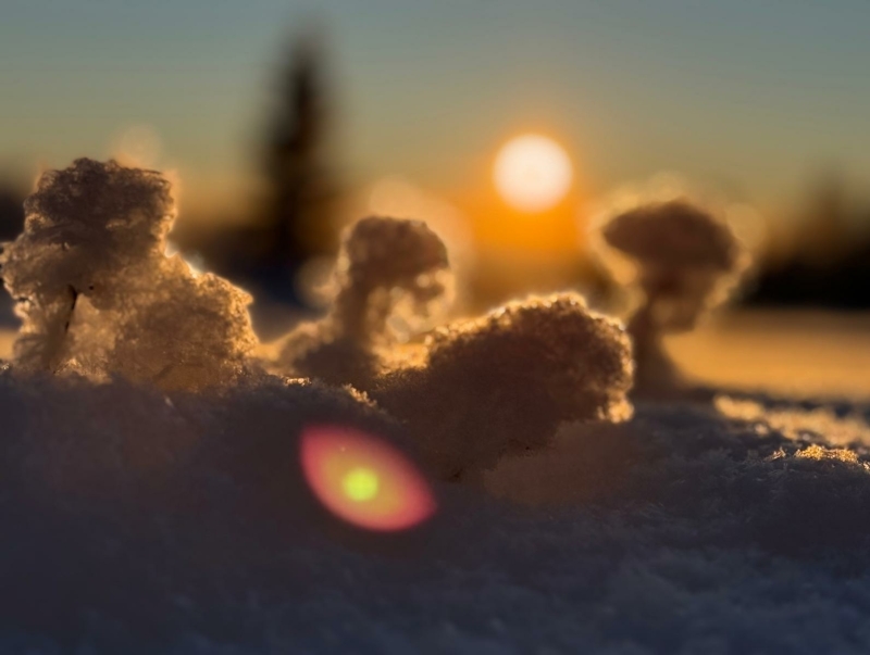 Wonderwereld van de sneeuw heelt je zicht