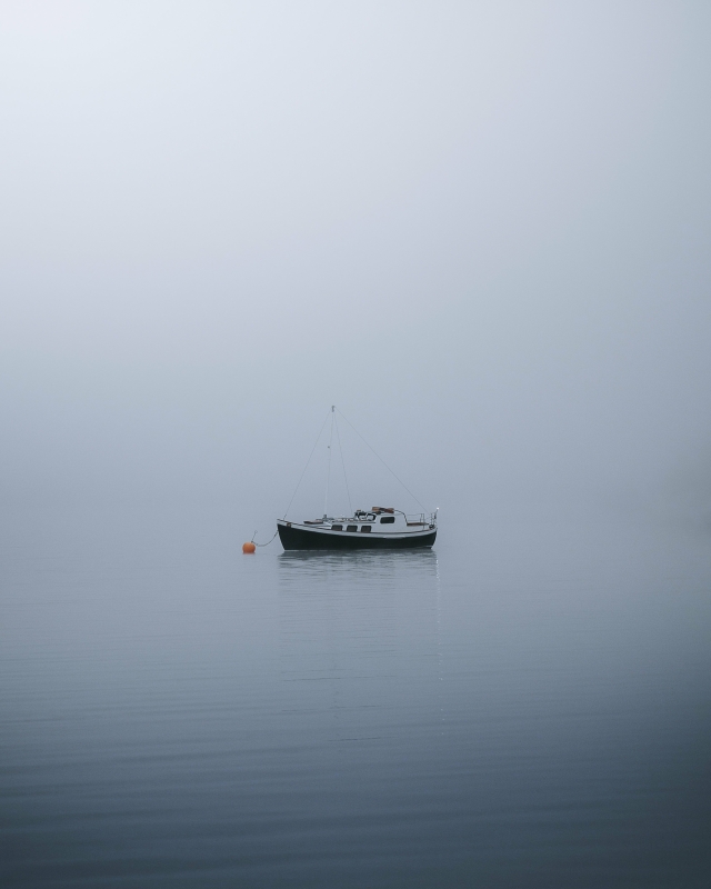 Beter kunnen zien in de mist De mist geeft een heldere blik