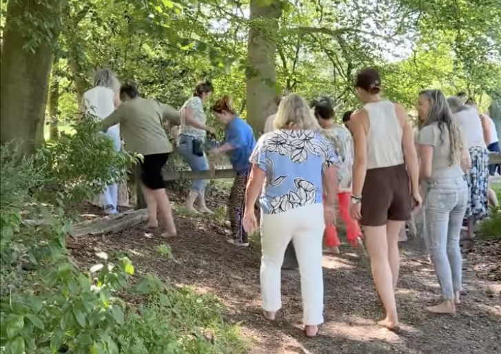 Natuurlijk zien grounding oefening bos VolZicht