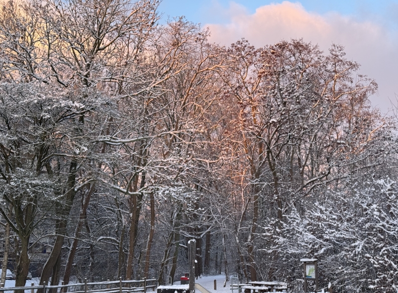 Ontspanning voor het zenuwstelsel Via de ogen het zenuwstelsel ontspannen
