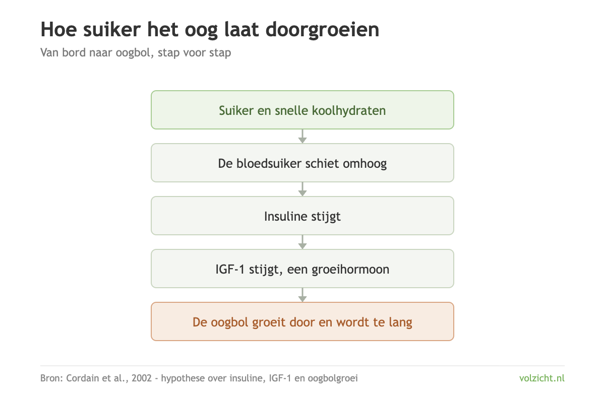 Hoe suiker het oog laat doorgroeien Schema: suiker en snelle koolhydraten laten de bloedsuiker stijgen, daarna insuline en IGF-1, waardoor de oogbol doorgroeit en te lang wordt