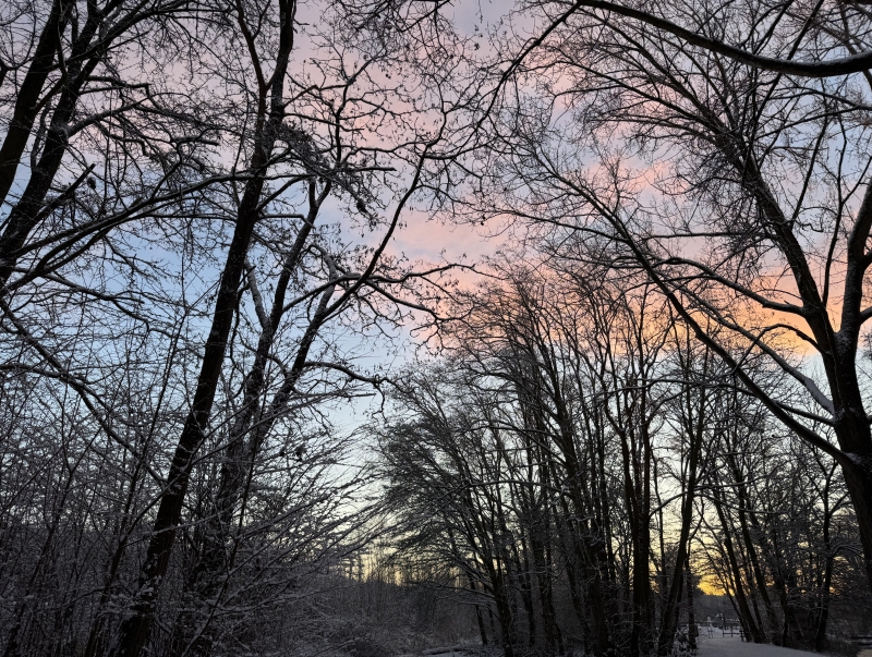 Ontspan het zenuwstelsel via de ogen Met zuivere intenties het nieuwe jaar in