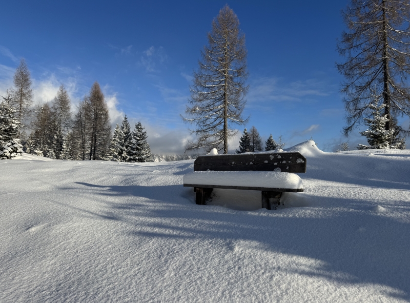 Wandelen in de bergen rust en ruimte in een nieuwe levensfase
