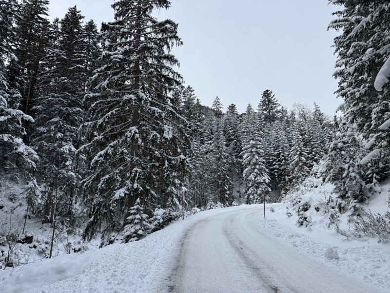 Loslaten wat niet meer past elke levensfase vraagt iets anders