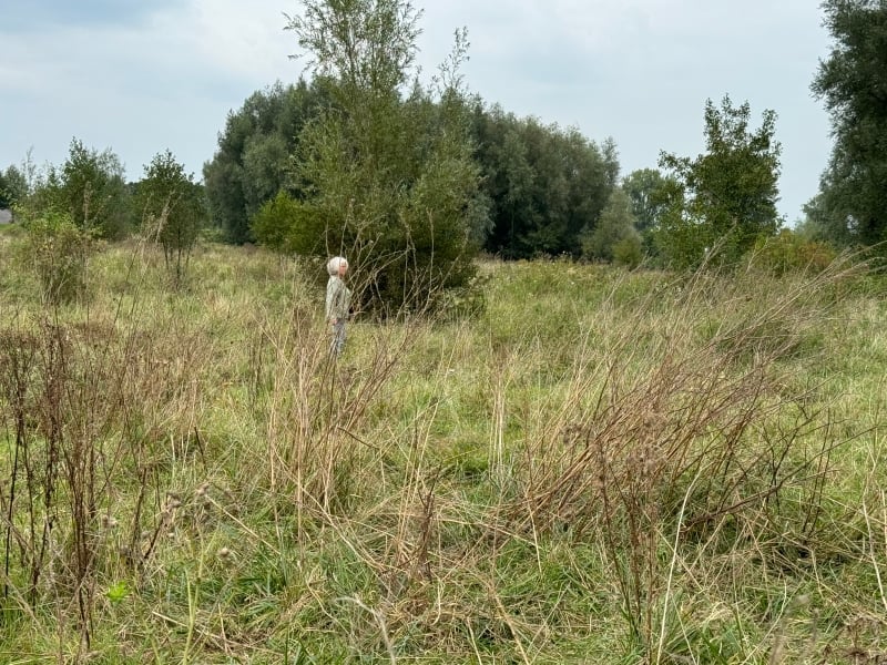 De Ziel staat aan het roer