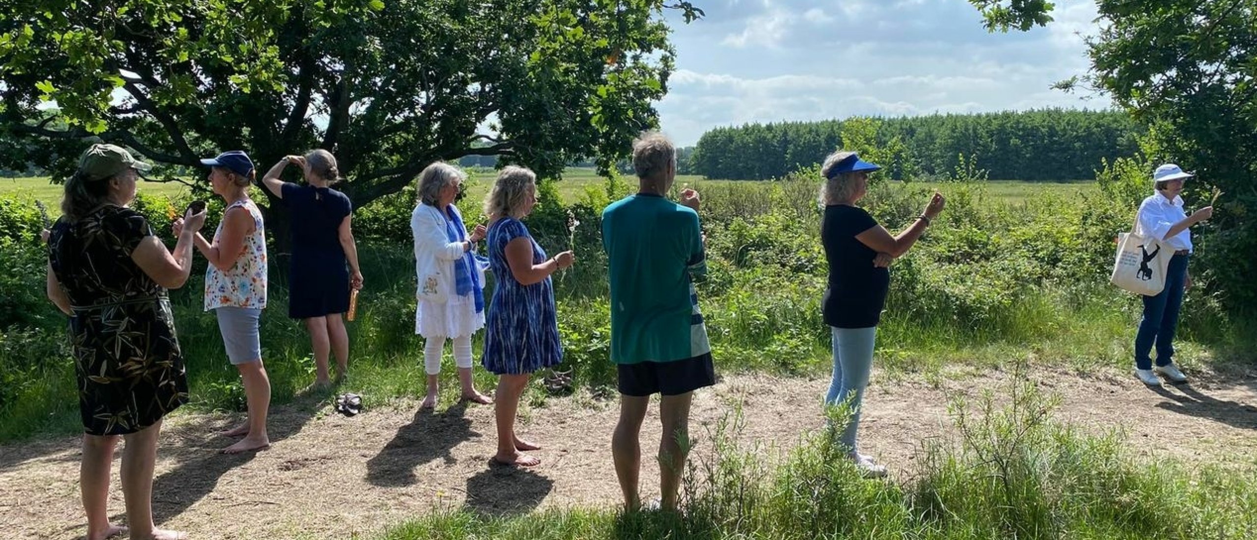 Wat zeggen deelnemers over het VolZicht jaarprogramma van Karin Hogenboom