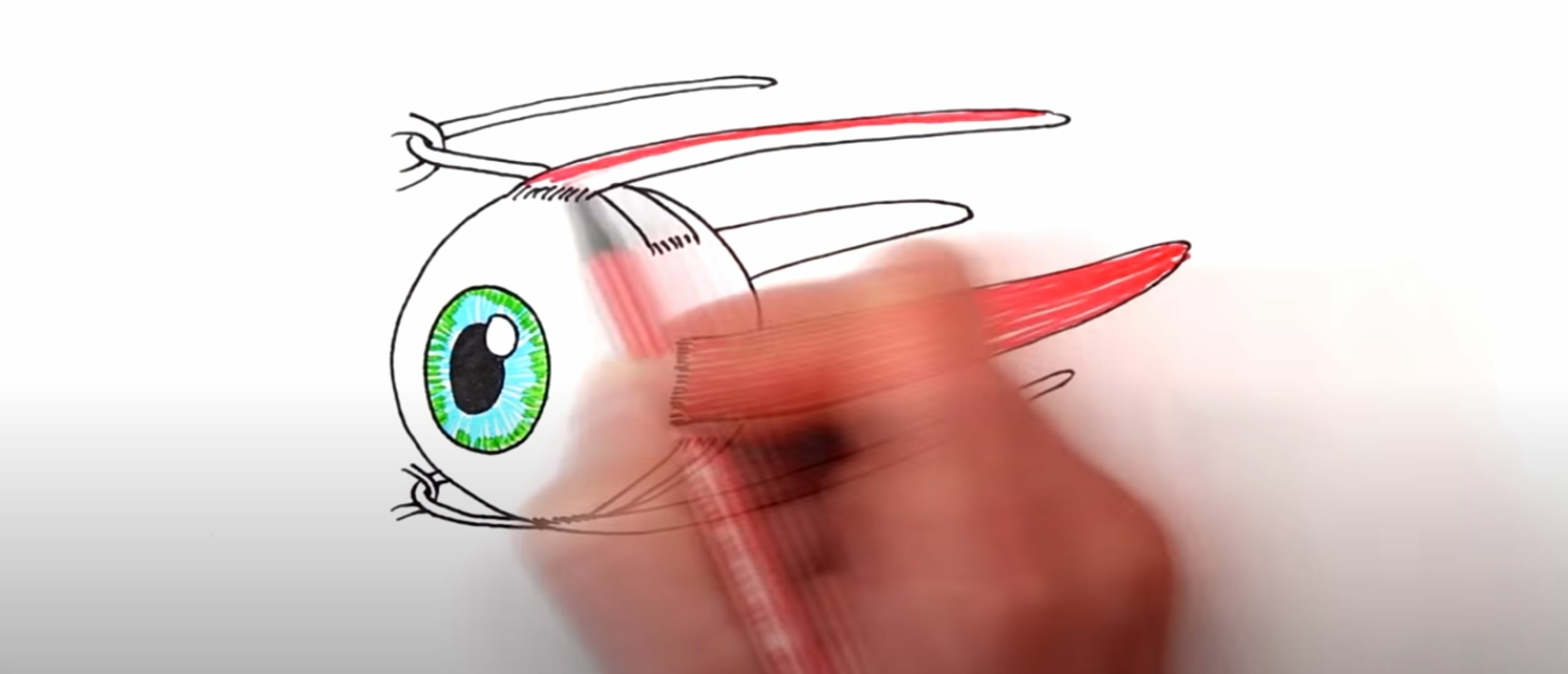Leuk filmpje: Invloed van oogspieren op het zicht