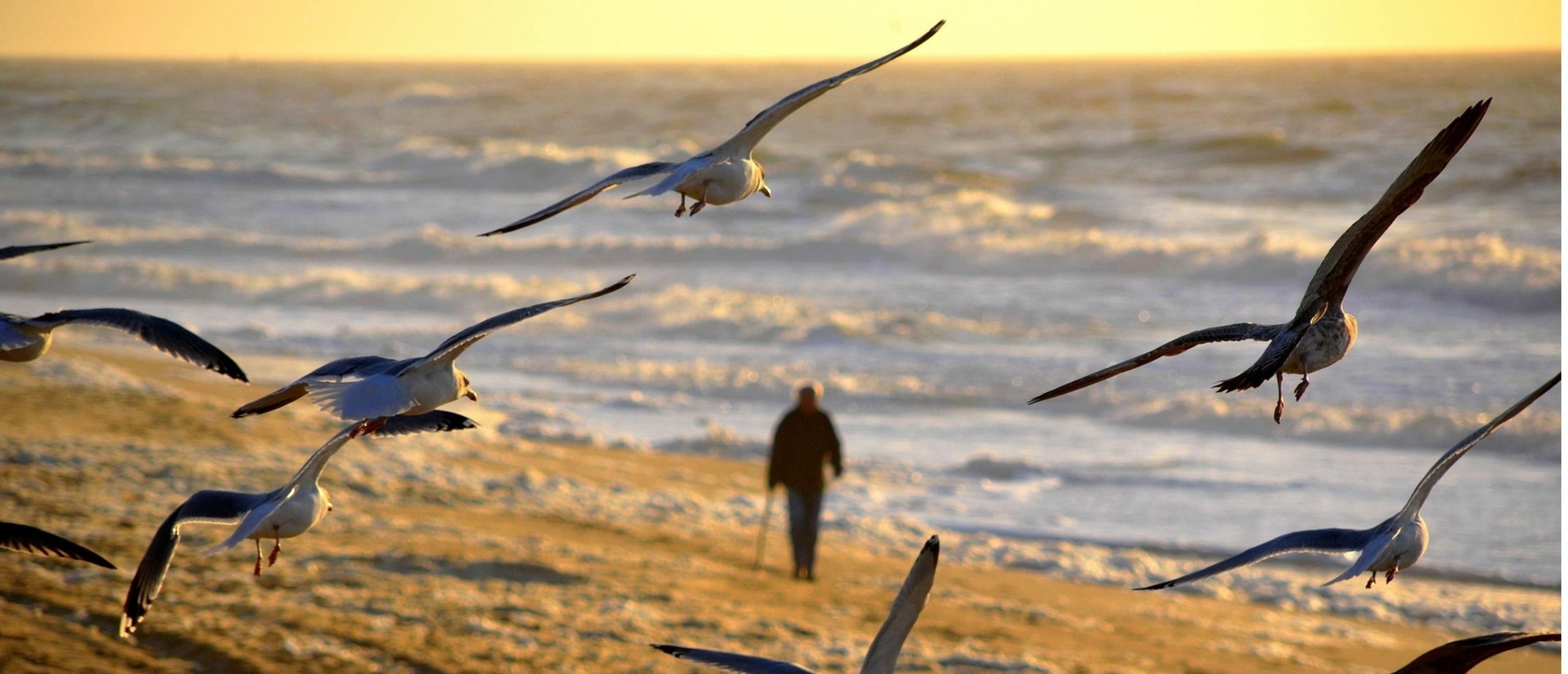Bijziendheid natuurlijk begrijpen en genezen