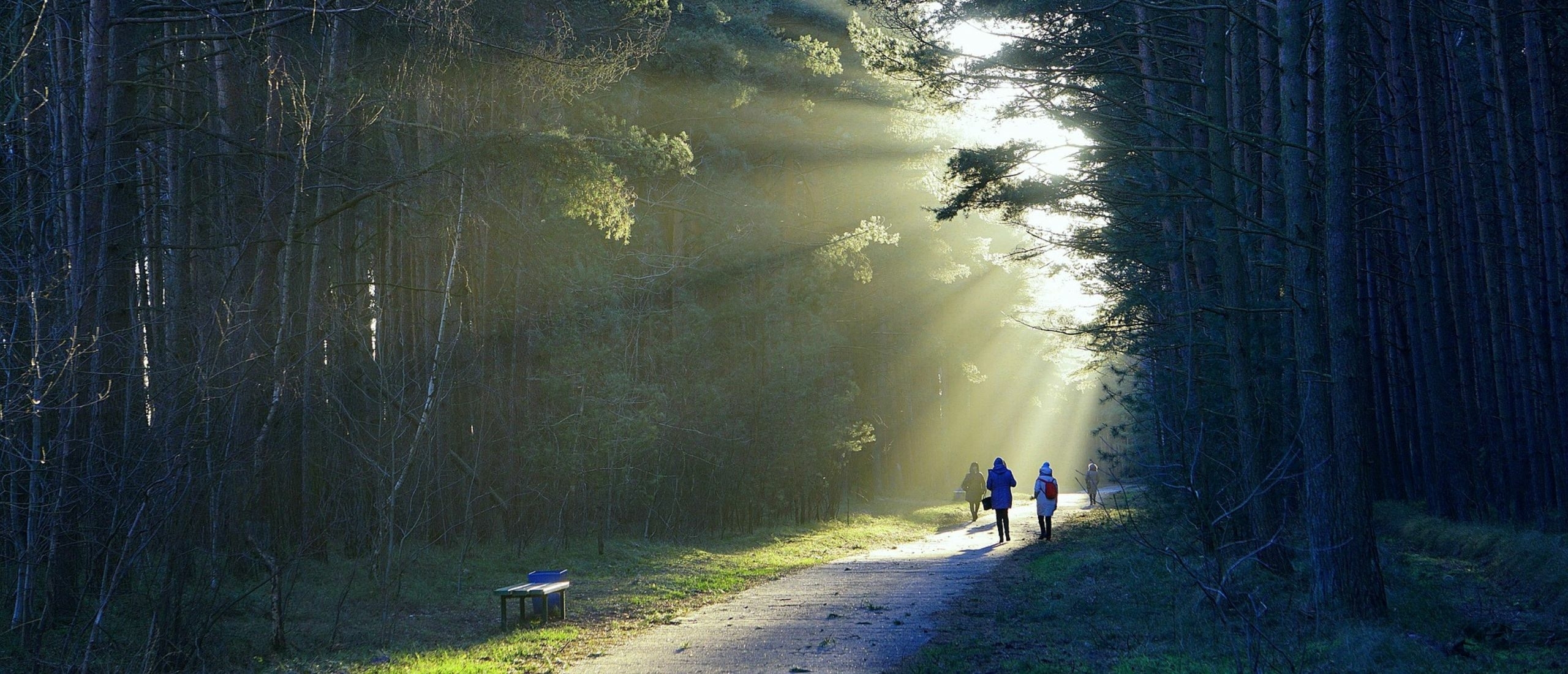 natuurlijk herstel van je ogen van binnenuit