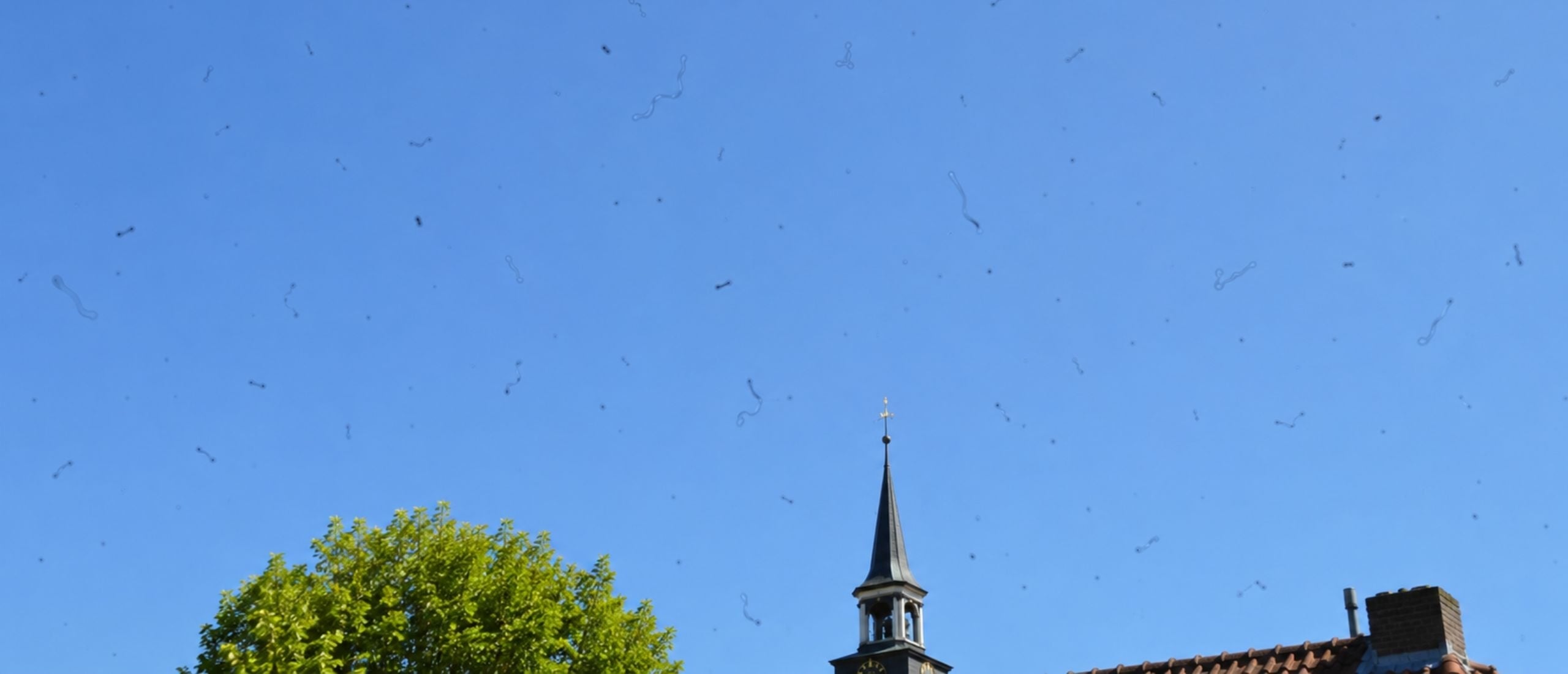 mouches volantes in de lucht