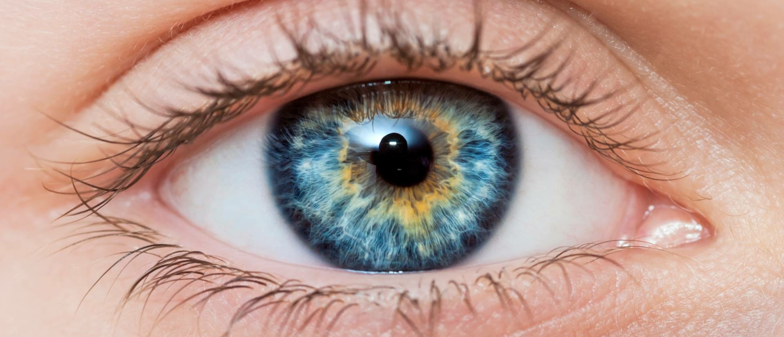 Glasvochtloslating oog Glasvochtloslating oog