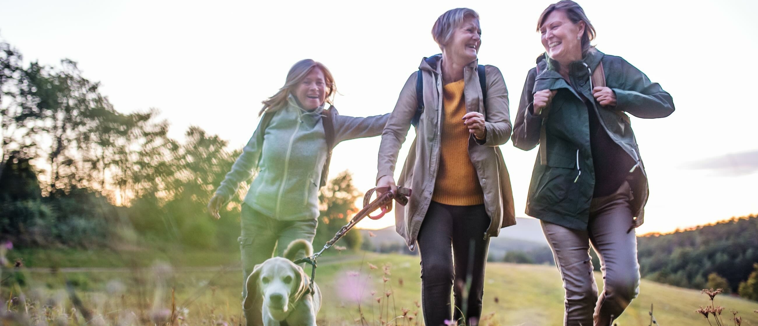 Mooie wandelroutes: De Groene Wissels