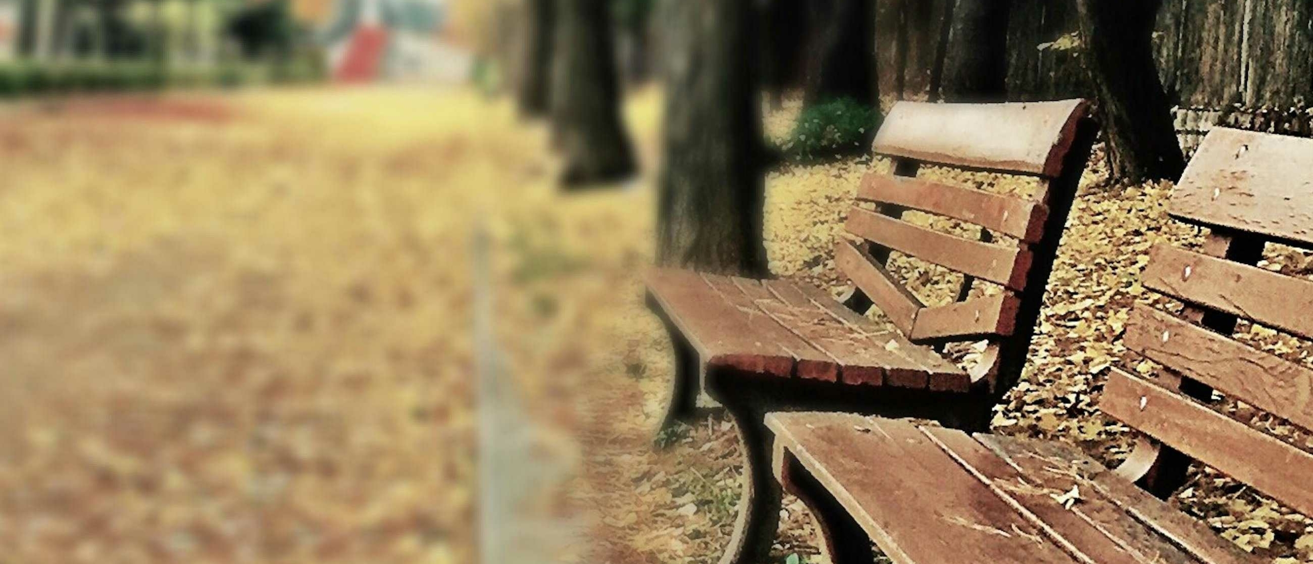 De buddy bench helpt kinderen om vriendjes te maken