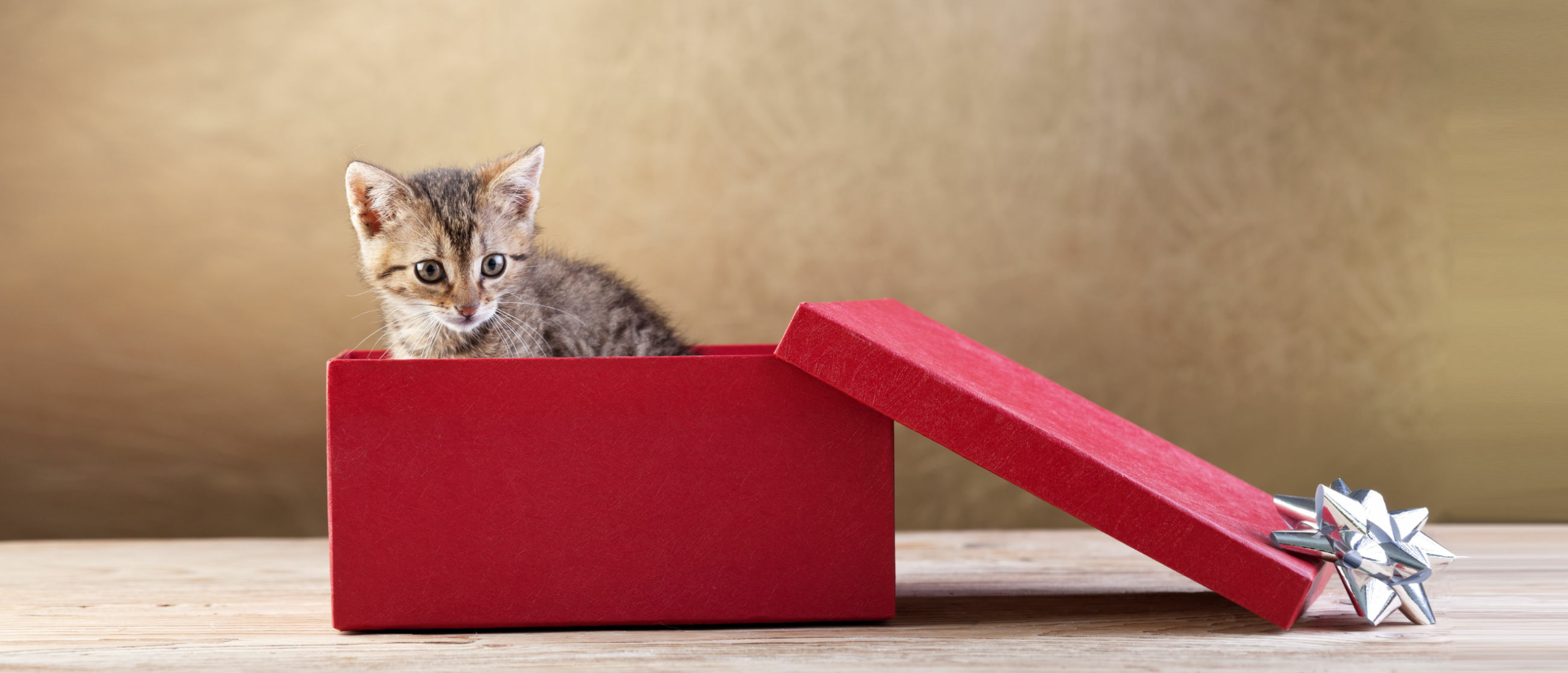 10x leuke cadeaus voor de verjaardag van je vriend