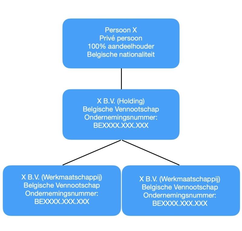Voorbeeld organogram BE simpel