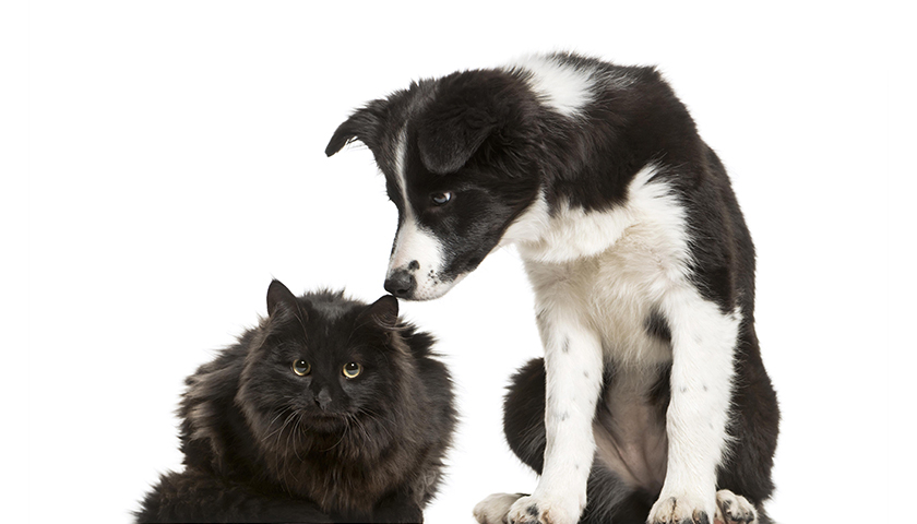 Helaas: actie bestaat niet meer