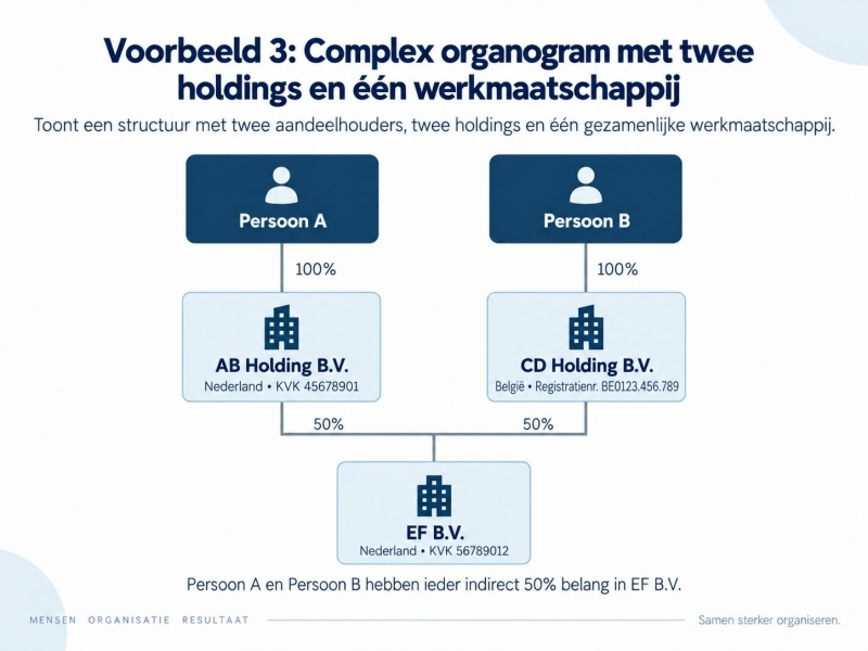 Complex organogram met twee holdings en een werkmaatschappij Complex organogram met twee holdings en een werkmaatschappij