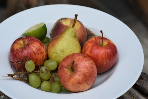 gezondheid vrij gezin gezondheid vrij gezin pijler