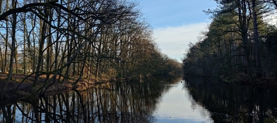 Wandelen en netwerken