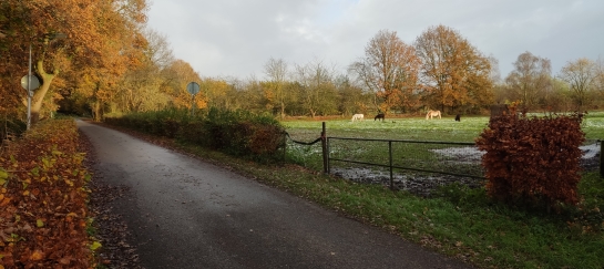 Wandelen en netwerken