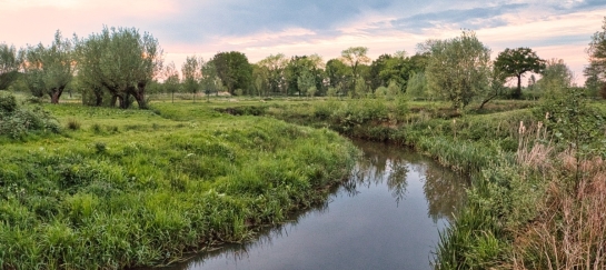 wandelend netwerken