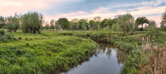 wandelend netwerken