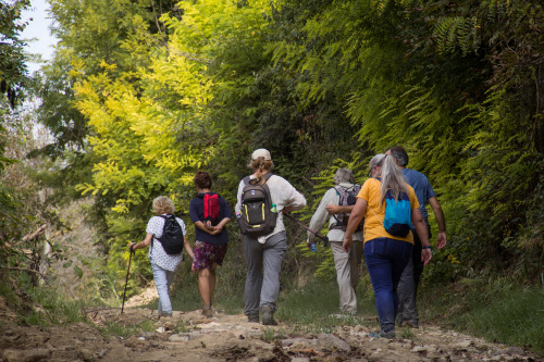 Individuele wandelvakantie in Hongarije bij Artventures