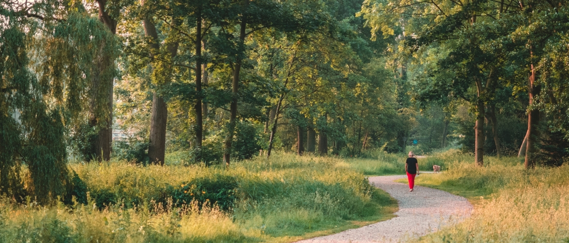 Wandelen bij de Reeuwijkse Plassen en in de Reeuwijkse Hout