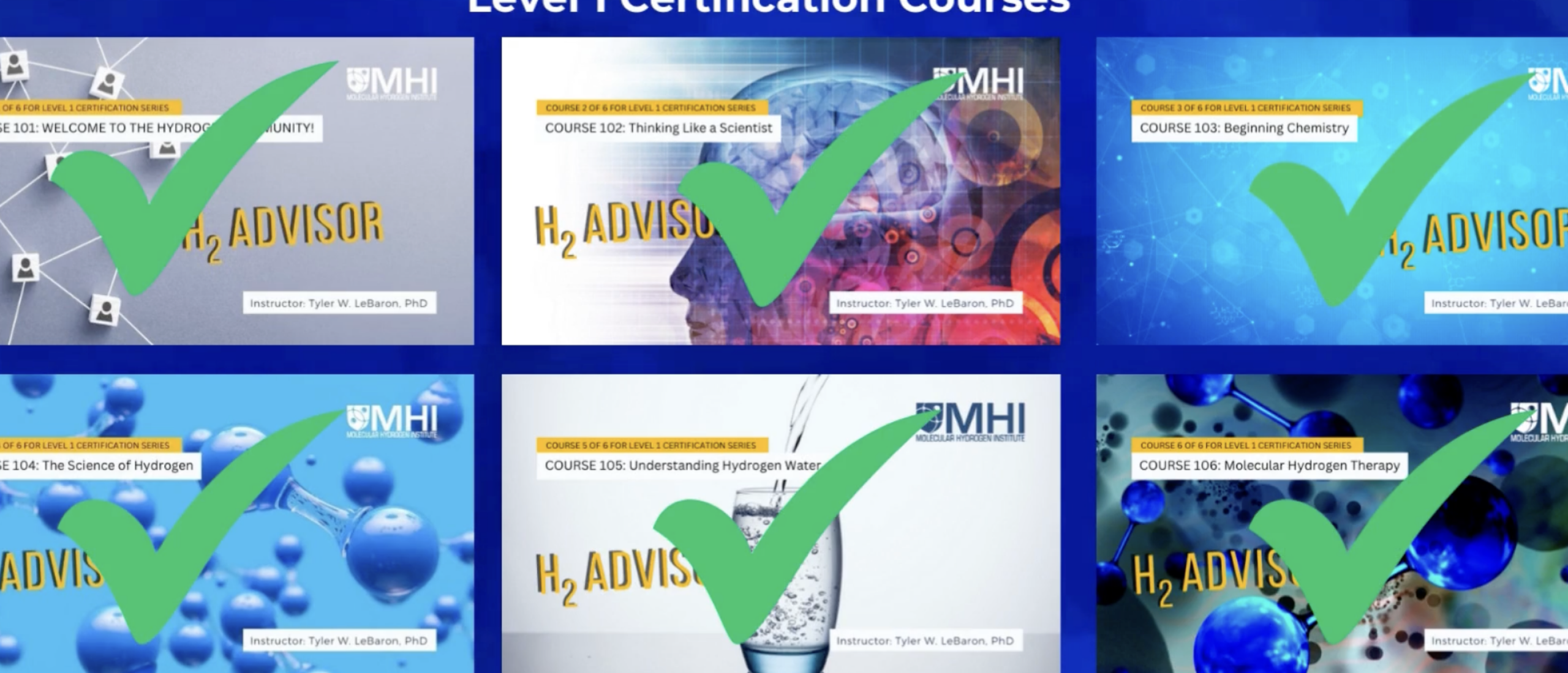 H2 Advisor MHI Level 1 H2 Advisor MHI Level 1