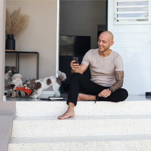 whatsapp hotline