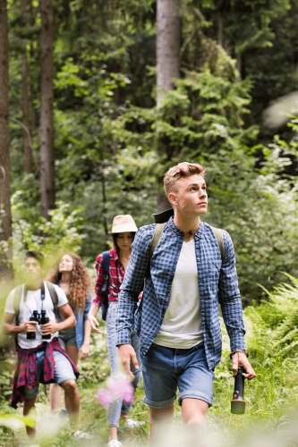 Bos activieiten - Camping de Veldzoom - Voorbeeld Website voor Camping