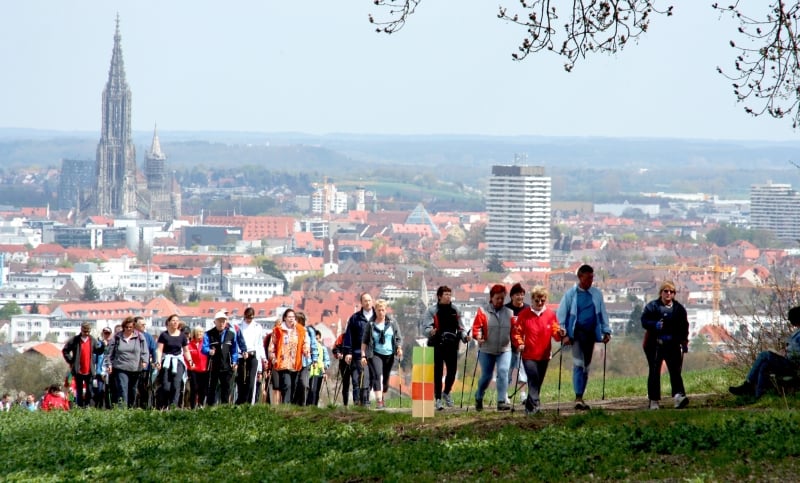 beste-wandelstokken-nordic-walking-wandelaars-groep