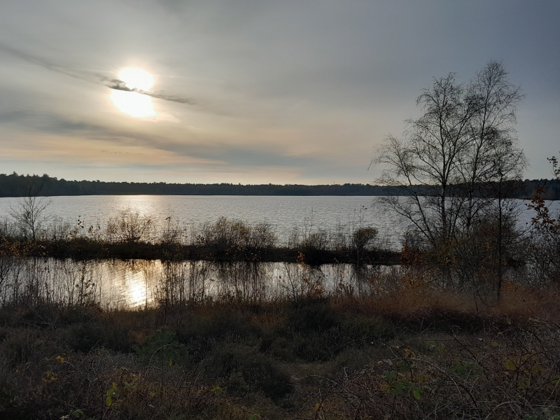 regio-maasduinen-tips-reindersmeer-ondergaande-zon