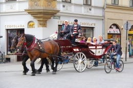 stedentrip-krakau-paard-en-wagen