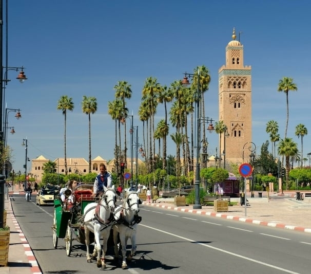 stedentrip-marrakech-paard-en-koets