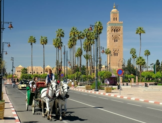 stedentrip-marrakech-paard-en-koets stedentrip-marrakech-paard-en-koets