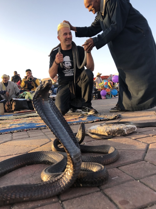 stedentrip-marrakech-slangenbezweerders-cobra