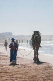 vakantie-agadir-strand-kameel