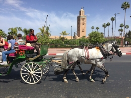vakantie-marrakech-reizen