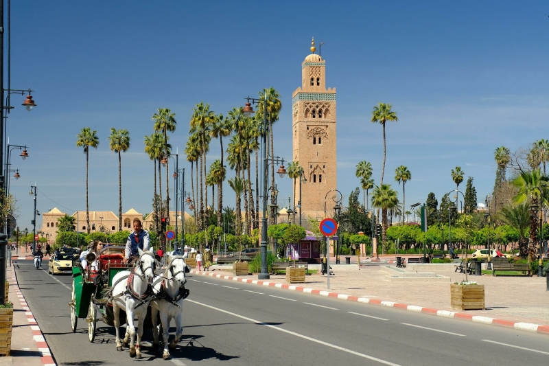 vakantie-naar-turkije-of-marokko-paard-en-koets