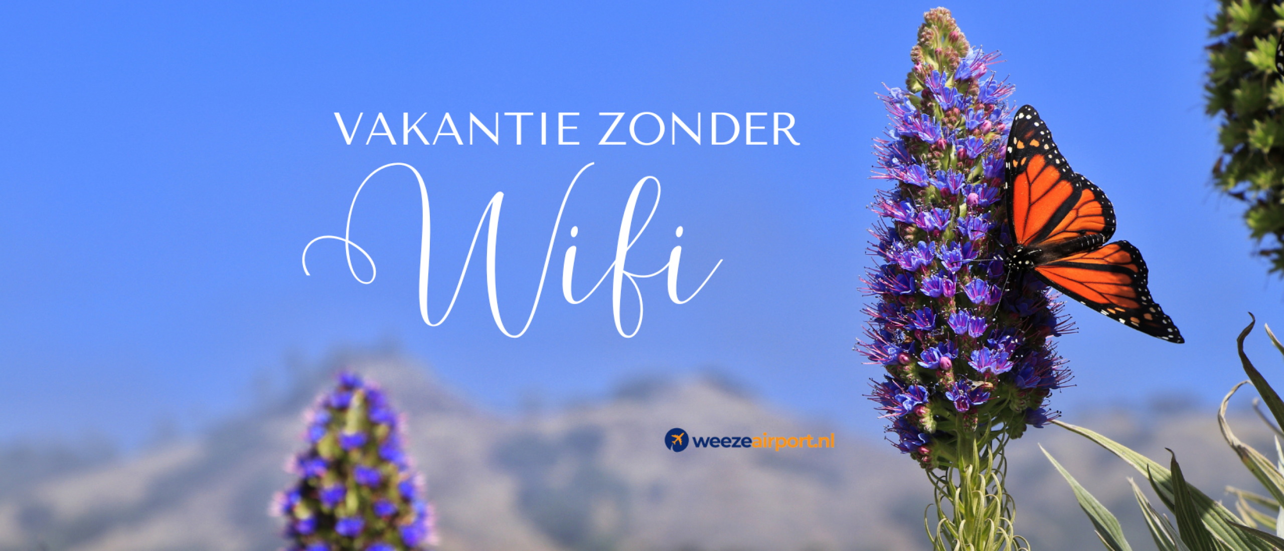 Vakantie zonder Wifi – hoe doe je dat? Digitale detox🦖17 Tips