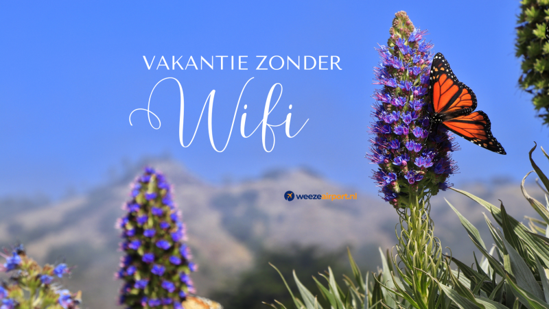 vakantie-zonder-wifi