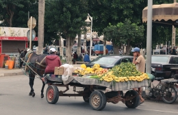 van-weeze-naar-nador-markt-fruit