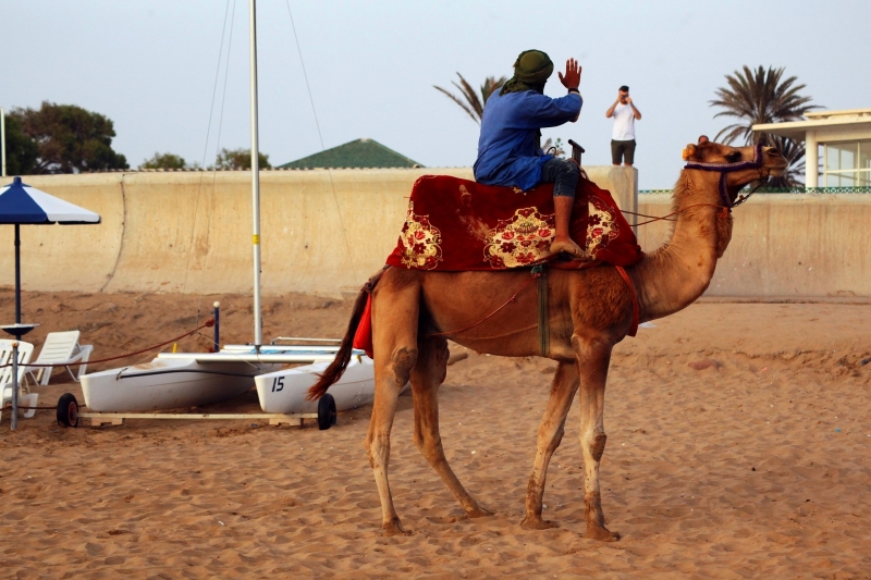 winterzon-bestemmingen-vanaf-weeze-agadir-kameel