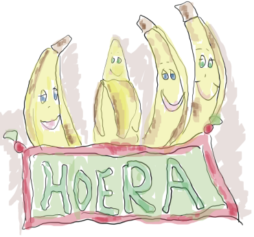 Opgelost_school_conflicten