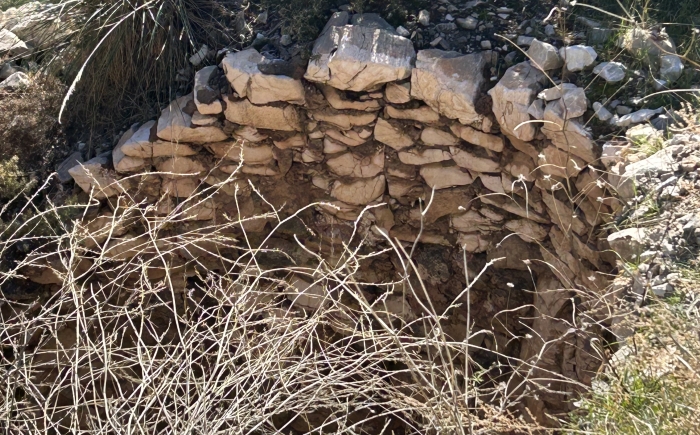 Opgelost_chiquitawelmerink