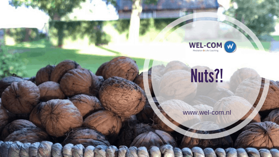 Nuts?!