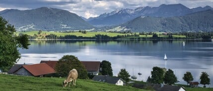 Kuuroorden in de Allgäu: Kneipp, Schroth en thermale baden