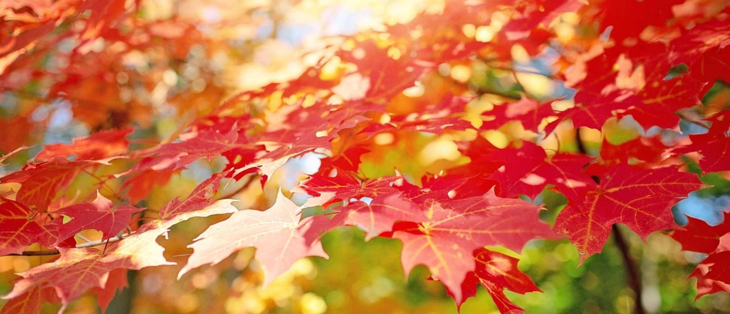 wellnessvakantie herfst